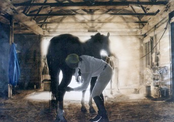 Equine Endeavors